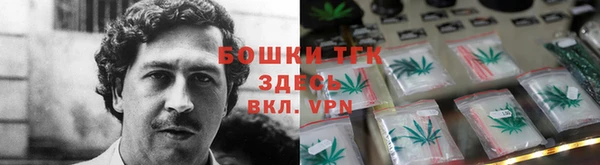 дмт Богородицк