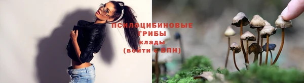 альфа пвп Богданович
