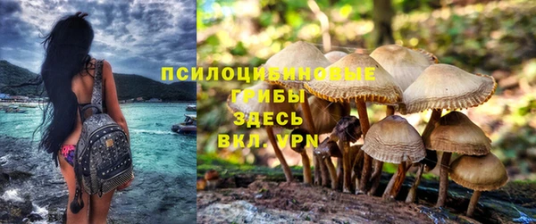альфа пвп Богданович