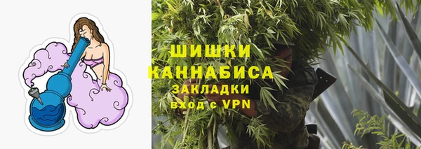 дмт Богородицк
