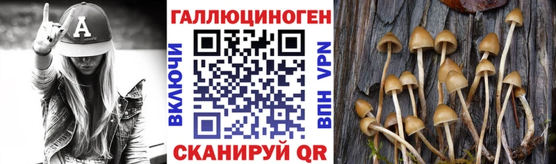 Галлюциногенные грибы MAGIC MUSHROOMS  Кировград 